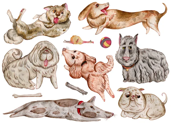 Chiens Aquarelle Collection Éléments Design Personnages Drôles Mignons Émotion Sentiments — Photo