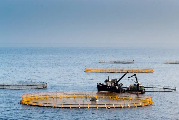 Aquafarming Baja Meksika