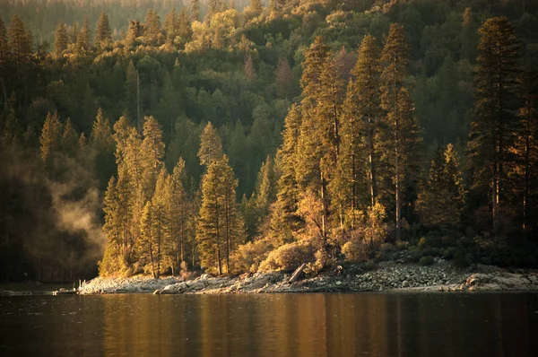 Bass Lake California Ormanlık Kıyı Şeridi Telifsiz Stok Imajlar
