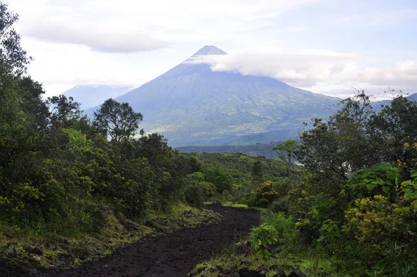 在中美洲安提瓜附近的活火山帕卡亚上，走过绿树的小径. — 图库照片