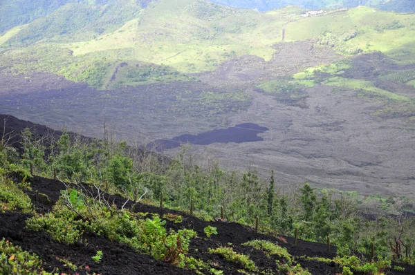 中美洲安提瓜附近的Pacaya活火山上有绿色植被的拉瓦油田. — 图库照片