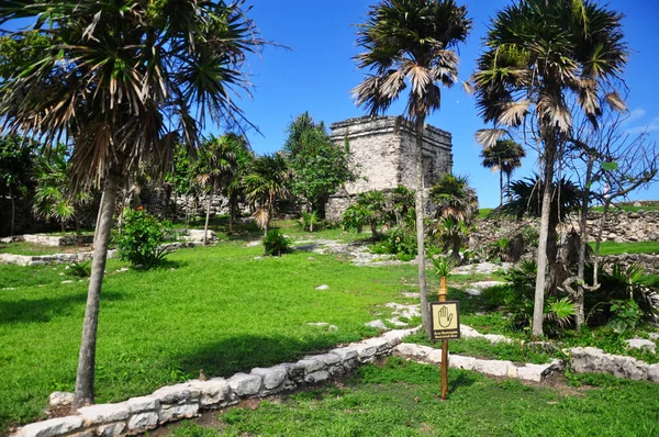 Ruinas Mayas del sitio arqueológico de Tulum, una ciudad maya precolombina, Tulum, Quintana Roo, Yucatán, México, América del Norte . — Foto de Stock