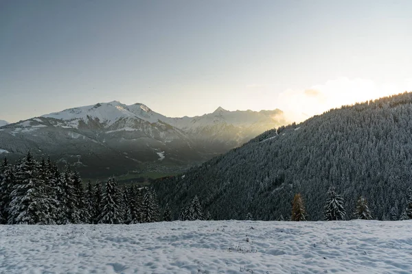 Arka planda Kitzsteinhorn Dağı manzarası ve ön planda ağaçlar. Keilberg, Schmittenhoehe, Zell am See, Salzburger Land, Avusturya.