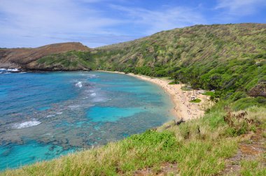 Eski bir volkanik krater olan Hanauma Körfezi 'nin mercan kayalıklarında şnorkelle yüzen, şimdi Honolulu, Oahu, Hawaii, ABD yakınlarındaki bir ulusal rezerv..