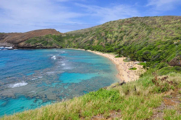 Eski bir volkanik krater olan Hanauma Körfezi 'nin mercan kayalıklarında şnorkelle yüzen, şimdi Honolulu, Oahu, Hawaii, ABD yakınlarındaki bir ulusal rezerv..