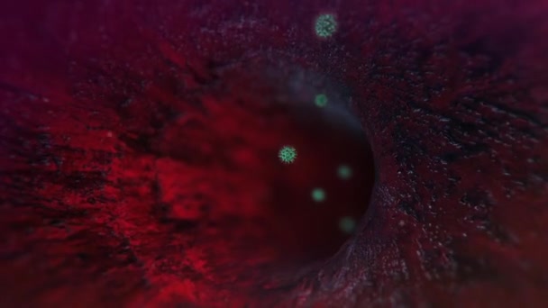 Virusceller Flyger Genom Venen Kamerans Cykliska Rörelse — Stockvideo