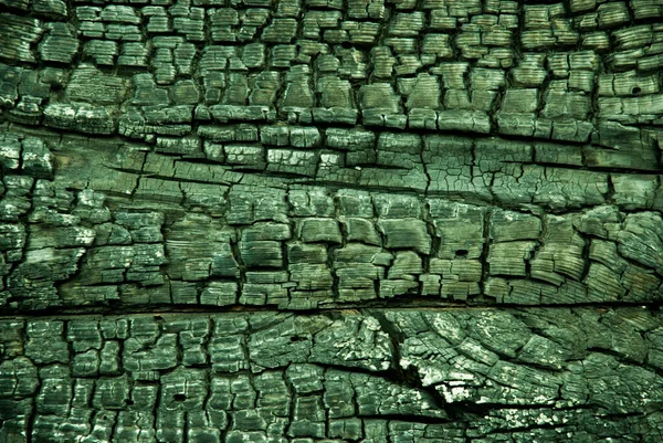 Дерево текстуры сгоревшего дерева зеленого цвета — стоковое фото