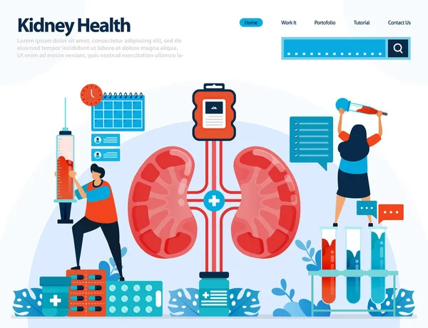 Απεικόνιση Για Τον Έλεγχο Της Υγείας Των Νεφρών Ασθένειες Και — Διανυσματικό Αρχείο