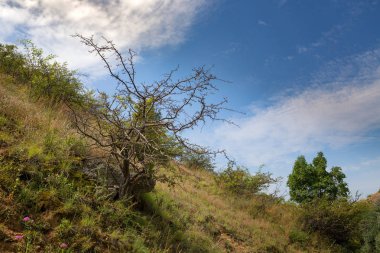  Dobrogea Romanya güzel gökyüzü manzara