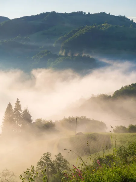 Escena matutina natural con niebla en la colina Niebla en la montaña. Lente de bengala. Pequeño ruido. Rumania. Transilvania. Brasov. Holbav. . —  Fotos de Stock