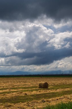 güzel kırsal manzara. bir sakin yaz gününde forest yakınındaki kırsal alan yol. dağ sırtı bulutlu mavi gökyüzü altında