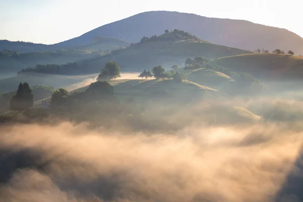 Naturalne rano sceny z mgłą na wzgórzu mgła na górze. Flara obiektywu. Trochę hałasu. Rumunia. Transylwanii. Brasov. Holbav. — Zdjęcie stockowe