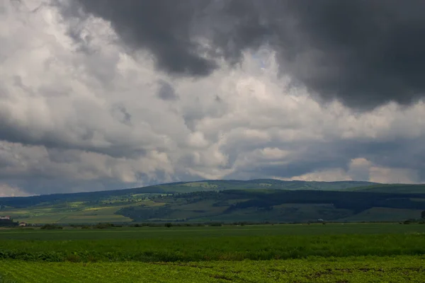 Bela paisagem rural. caminho através do campo rural perto da floresta em um dia tranquilo de verão. cume da montanha sob céu azul nublado — Fotografia de Stock