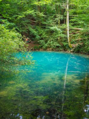 ormanda, Ochiul Beiului, güzel gölet Caras Severin İlçesi, Romanya