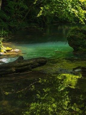 Cascada La Vaioaga Cheile Nerei ulusal park - Romanya