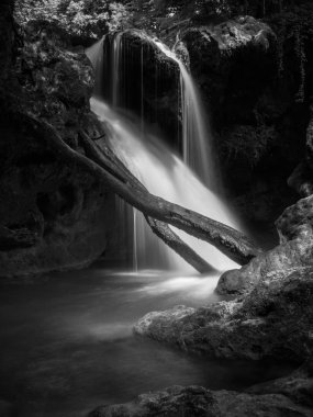 Cascada La Vaioaga Cheile Nerei ulusal park - Romanya