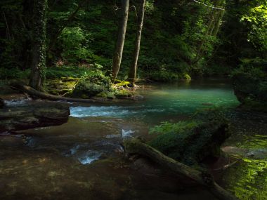 Cascada La Vaioaga Cheile Nerei ulusal park - Romanya