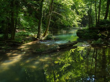 Cascada La Vaioaga Cheile Nerei ulusal park - Romanya