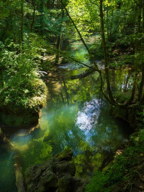 Cascada La Vaioaga Cheile Nerei ulusal park - Romanya