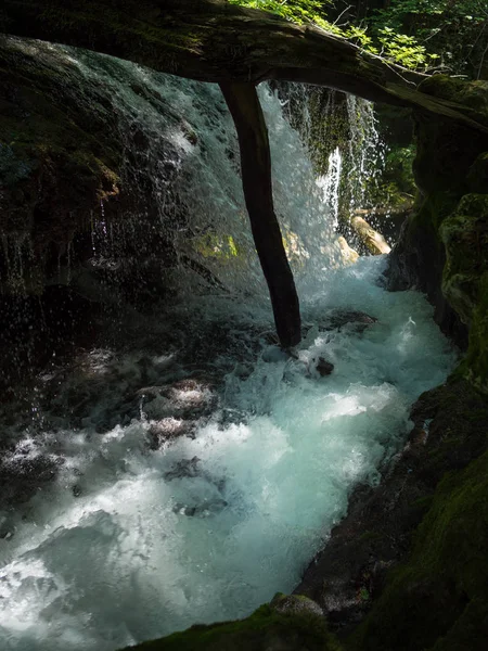 Cascada La Vaioaga nel parco nazionale Cheile Nerei Romania — Foto Stock