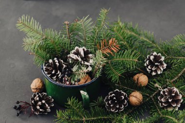 Çam dalları, süper, koyu arka plan üzerinde vintage kupa hayalarına kış kompozisyon