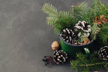 Çam dalları, süper, koyu arka plan üzerinde vintage kupa hayalarına kış kompozisyon