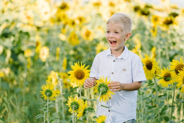 Bedårande barn blond pojke i en skjorta på solros fält skrattar och har roligt utomhus. Livsstil, sommartid, riktiga känslor — Stockfoto