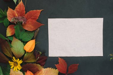 Kraft kağıt tebeşir gemide ile bitki kompozisyon dekore edilmiş kırmızı yaprakları