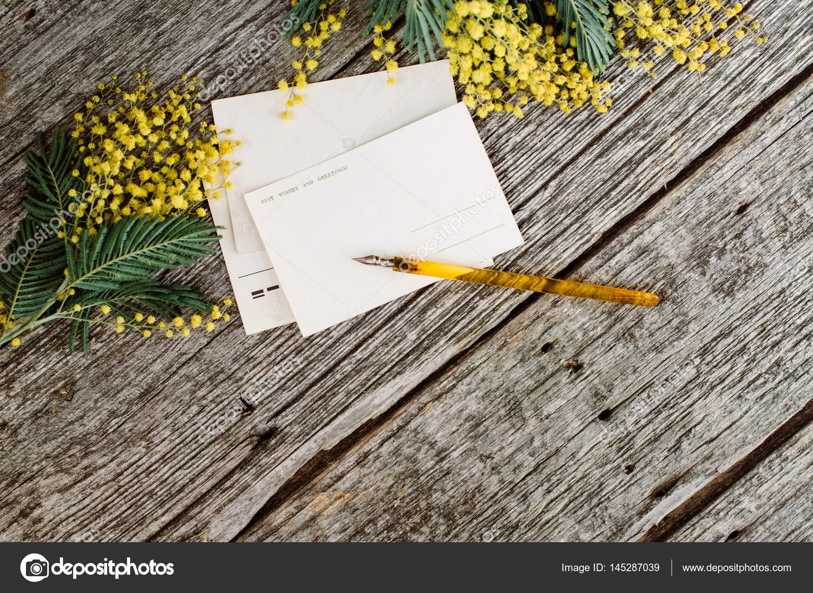 Vintage Postkarten Mit Gelben Blumen Mimosen Und Vintage Federtinte Auf Grauem Holzhintergrund Stockfoto C Ok Kate