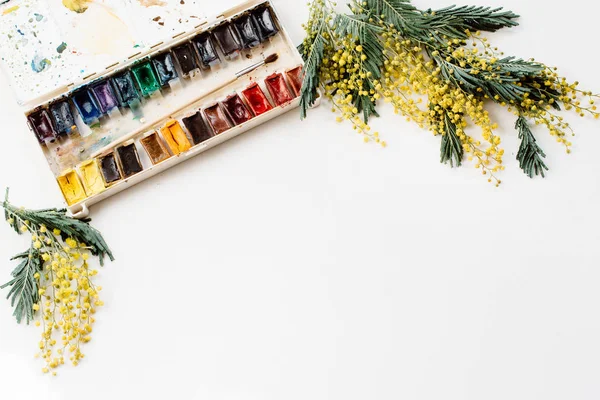 Workspace. Wreath frame with mimosas, watercolors, paintbrush on white background.