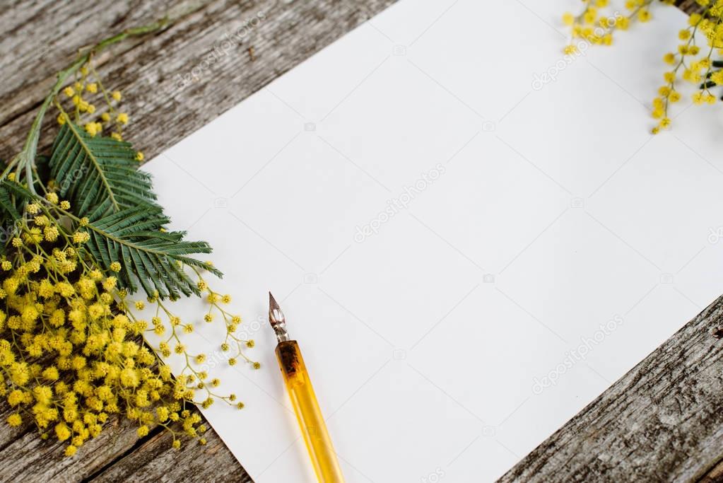 White paper mock up with yellow flowers mimosas and vintage pen ink on grey wooden background