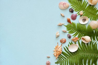 Düz yatıyordu. Üst te. Mavi bir arka plan üzerinde çeşitli kabukları çerçeve. Pastel arka plan daki deniz kabukları.