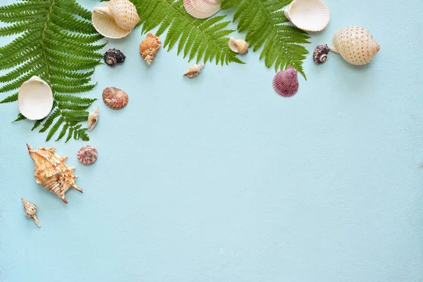 Flat Lay. Vista de cima. Quadro dos escudos de vários tipos em um fundo azul. Seashells em um fundo pastel. — Fotografia de Stock