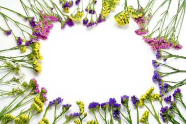 Derma kır çiçekleri beyaz arka plan karede. Düz yatıyordu, en iyi görünümü.