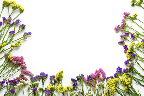 Flores silvestres de colores sobre fondo blanco, borde inferior. Piso tendido, vista superior . — Foto de Stock
