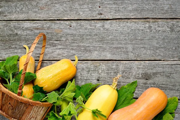 Pampkin ve kabak yeşil yaprakları vintage tahta masada. Sonbaharda hasat arka plan