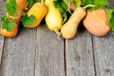 Pampkin ve kabak yeşil yaprakları vintage tahta masada. Sonbaharda hasat arka plan
