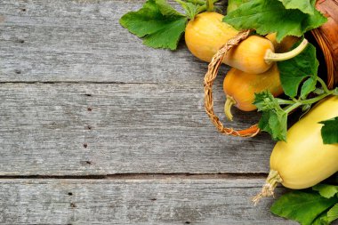 Pampkin ve kabak yeşil yaprakları vintage tahta masada. Sonbaharda hasat arka plan