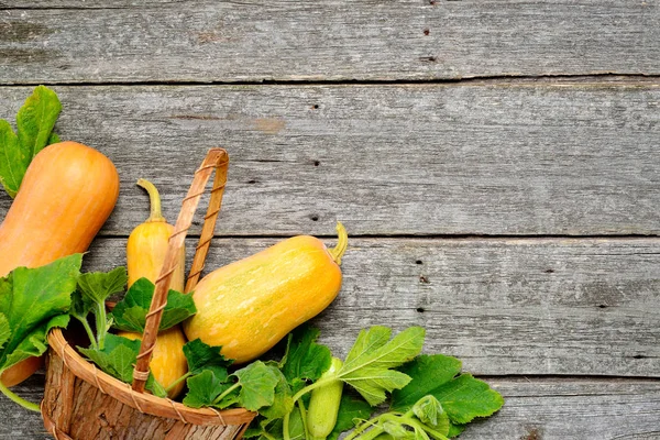 Pampkin ve kabak yeşil yaprakları vintage tahta masada. Sonbaharda hasat arka plan