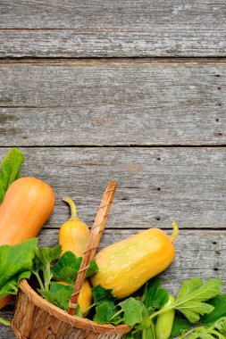 Pampkin ve kabak yeşil yaprakları vintage tahta masada. Sonbaharda hasat arka plan