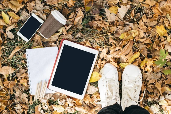 Sonbahar yaprakları, tablet, telefon ve kağıt bardak kahve düz yatıyordu görünümünü. Yukarıdan bacaklar ile