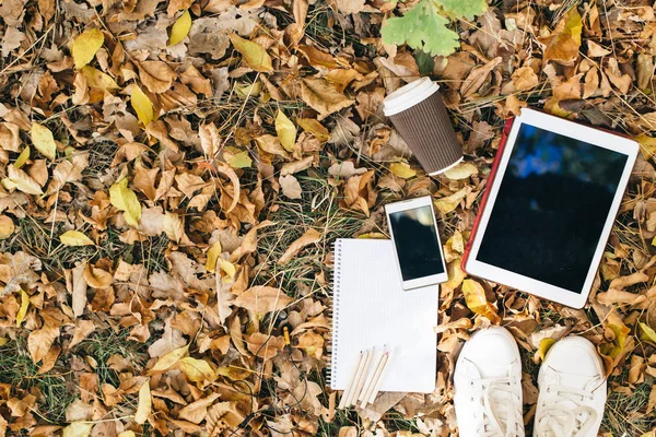 Sonbahar yaprakları, tablet, telefon ve kağıt bardak kahve düz yatıyordu görünümünü. Yukarıdan bacaklar ile