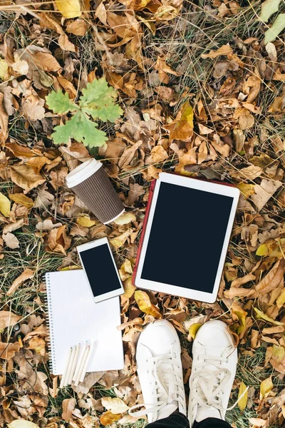 Sonbahar yaprakları, tablet, telefon ve kağıt bardak kahve düz yatıyordu görünümünü. Yukarıdan bacaklar ile