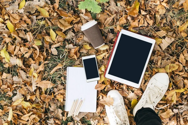 Sonbahar yaprakları, tablet, telefon ve kağıt bardak kahve düz yatıyordu görünümünü. Yukarıdan bacaklar ile