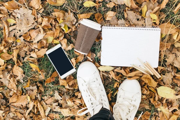 Sonbahar yaprakları, tablet, telefon ve kağıt bardak kahve düz yatıyordu görünümünü. Yukarıdan bacaklar ile