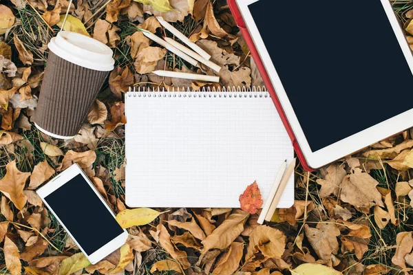Sonbahar yaprakları, tablet, telefon ve kağıt bardak kahve düz yatıyordu görünümünü. Yukarıdan bacaklar ile
