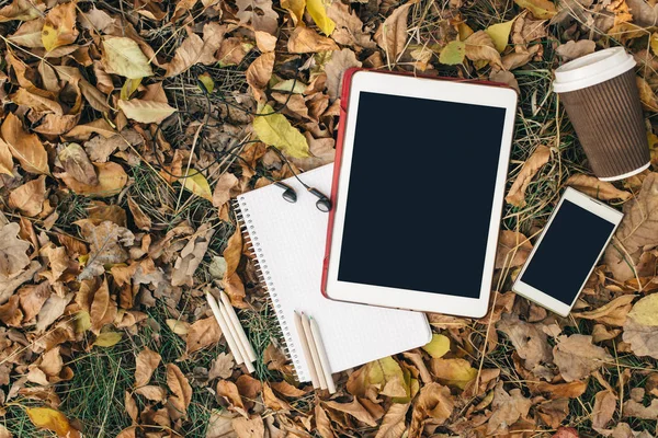 Vista plana de hojas de otoño, tableta, teléfono y taza de papel de café. Desde arriba con las piernas —  Fotos de Stock