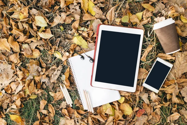 Vista plana de hojas de otoño, tableta, teléfono y taza de papel de café. Desde arriba con las piernas —  Fotos de Stock