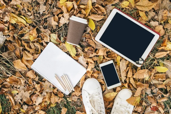 Sonbahar yaprakları, tablet, telefon ve kağıt bardak kahve düz yatıyordu görünümünü. Yukarıdan bacaklar ile