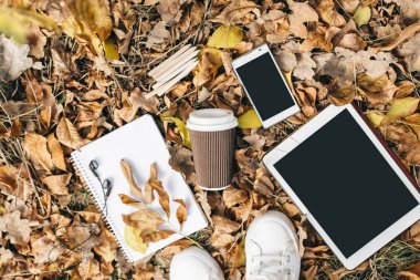 Sonbahar yaprakları, tablet, telefon ve kağıt bardak kahve düz yatıyordu görünümünü. Yukarıdan bacaklar ile